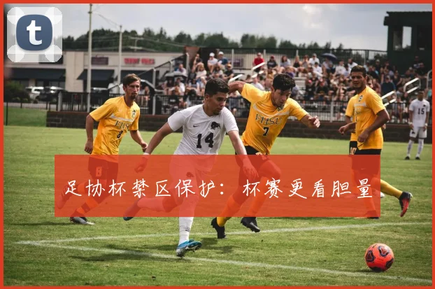 足协杯禁区保护：杯赛更看胆量