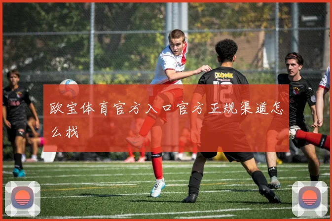 欧宝体育官方入口官方正规渠道怎么找