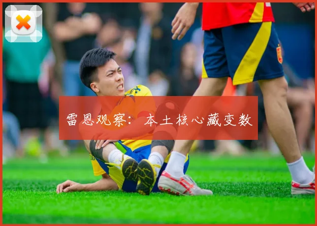 雷恩观察:本土核心藏变数