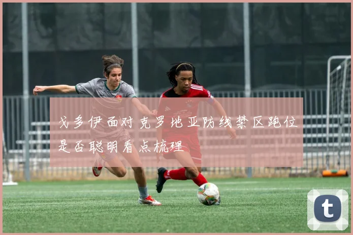 戈多伊面对克罗地亚防线禁区跑位是否聪明看点梳理