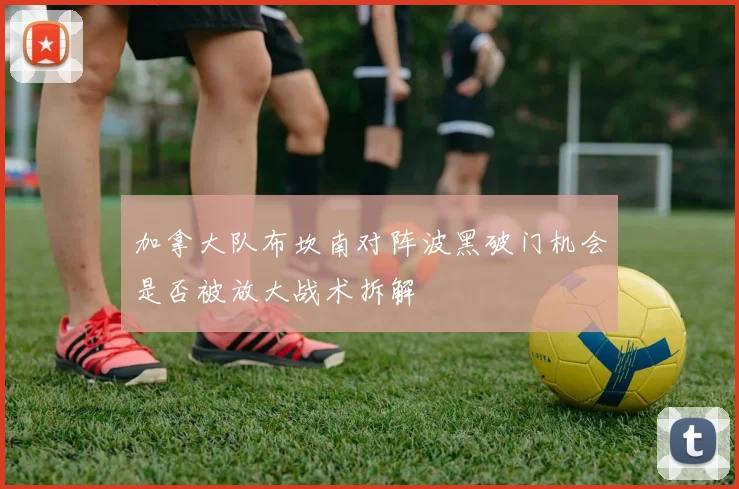 加拿大队布坎南对阵波黑破门机会是否被放大战术拆解